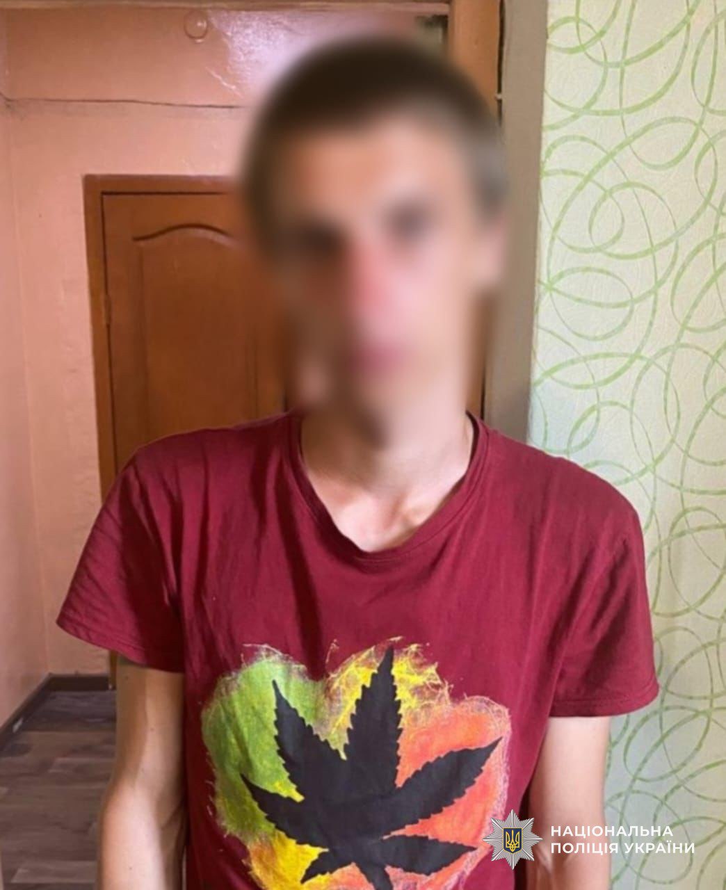 вбив бабусю у Камʼянському