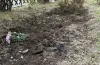 У Дніпрі орудують вандали: викопали кущі хризантем