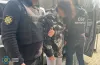 агент фсб, розвідка, ув'язнення