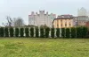 Парк, жива огорожа 