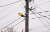  встановили понад 3 тисячі