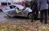 дерево вбило людину