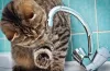 відключення води