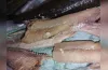 небезпечна знахідка, риба