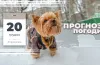 прогноз погоди, без опадів, плюсова температура