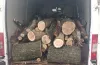 На Дніпропетровщині затримали водія Fiat з повним кузовом свіжоспиляної деревини