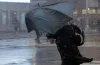 Увага! Штормовий вітер очікується завтра в Дніпрі та області