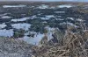 Спричинив державі шкоди на 202 млн гривень