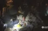Собака, завали, рятування 