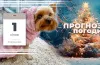 прогноз погоди