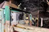 Павлоград