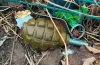 знайшли гранату у Кривому Розі