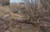 КАБ, авіаційна бомба, Дніпропетровщина, населення