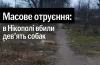 Масове отруєння собак у Нікополі
