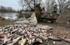 рибохорона, браконьєри