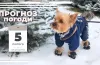 прогноз погоди