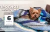 прогноз погоди