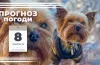 прогноз погоди