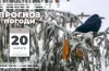 прогноз погоди