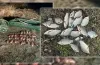 рибінспектор, рейди, штрафи
