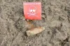 знайшли боєприпас у Кривому Розі