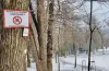 попередження, небезпека, катання, санчата