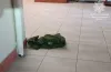 небезпечна знахідка, граната