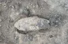 авіабомба у Кривому Розі