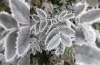 ботанічний сад, екскурсії
