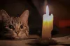 відключення світла у Кам’янському