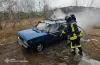 авто