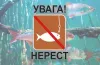 нерест, заборона, вилов риби