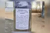 годування, птахи, хліб, загибель