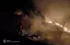 пожежа в екосистемі