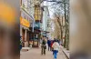 порятунок, кіт, дерево, надзвичайники