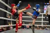 Відкритий турнір Дніпровська зірка у Дніпрі