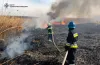 загоряння, рейди, суха рослинність, спалювання