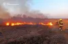 рятувальники, пожежа, суха рослинність, підпал