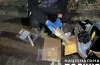 наркокурʼєр, обшук, психотропи