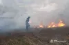 пожежа, гасіння, рослинність, підпал