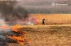 На Дніпропетровщині за добу ліквідували 115 пожеж в екосистемах