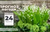 У Дніпрі та області очікується сильний вітер: прогноз погоди на 24 березня