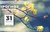 Прогноз погоди на 31 березня: у Дніпрі та області очікується мінлива хмарність і дощ