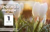прогноз погоди