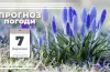 прогноз погоди