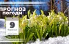 погода 