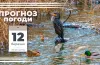 прогноз погоди