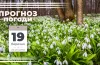 прогноз погоди