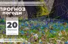 прогноз погоди
