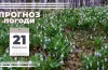 прогноз погоди